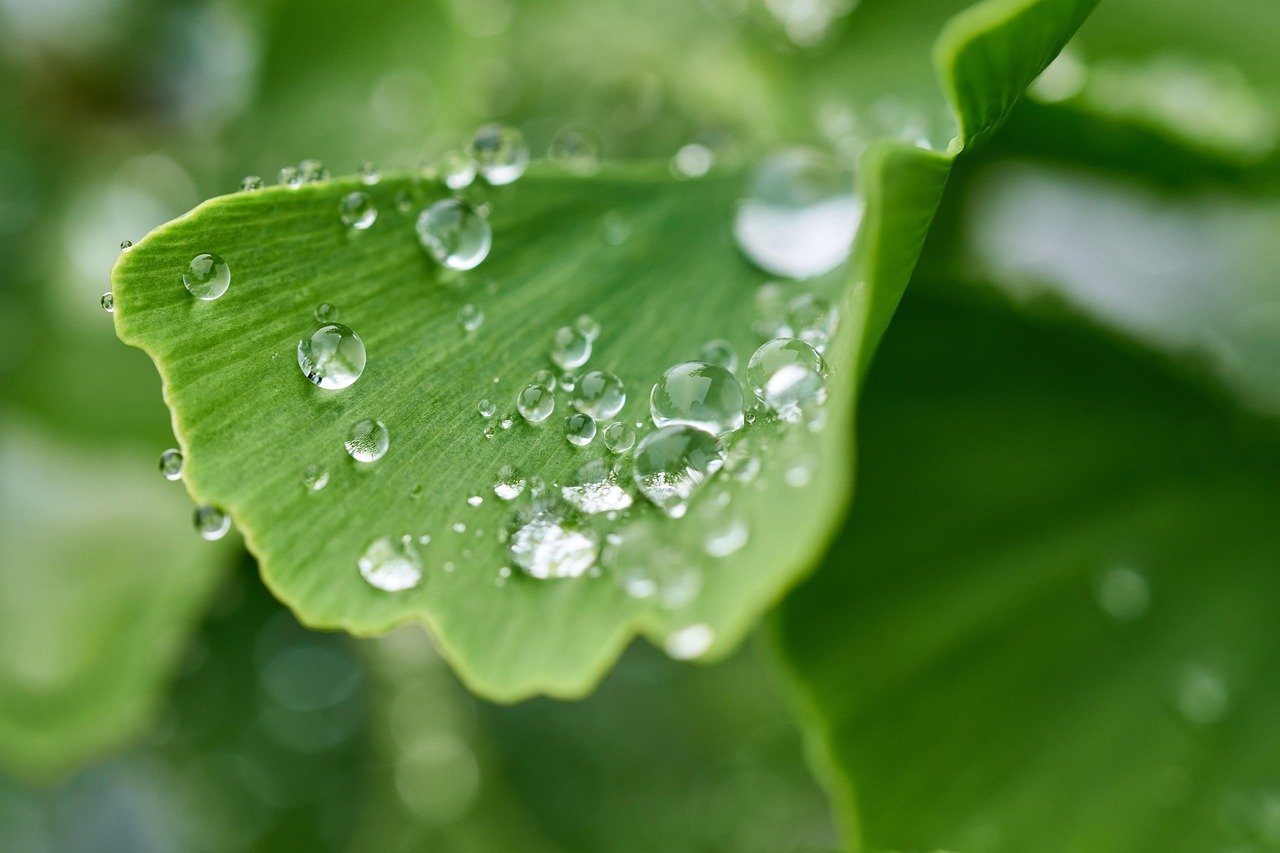 Die Wahrheit hinter dem Energieversprechen von Hydrationsdrinks