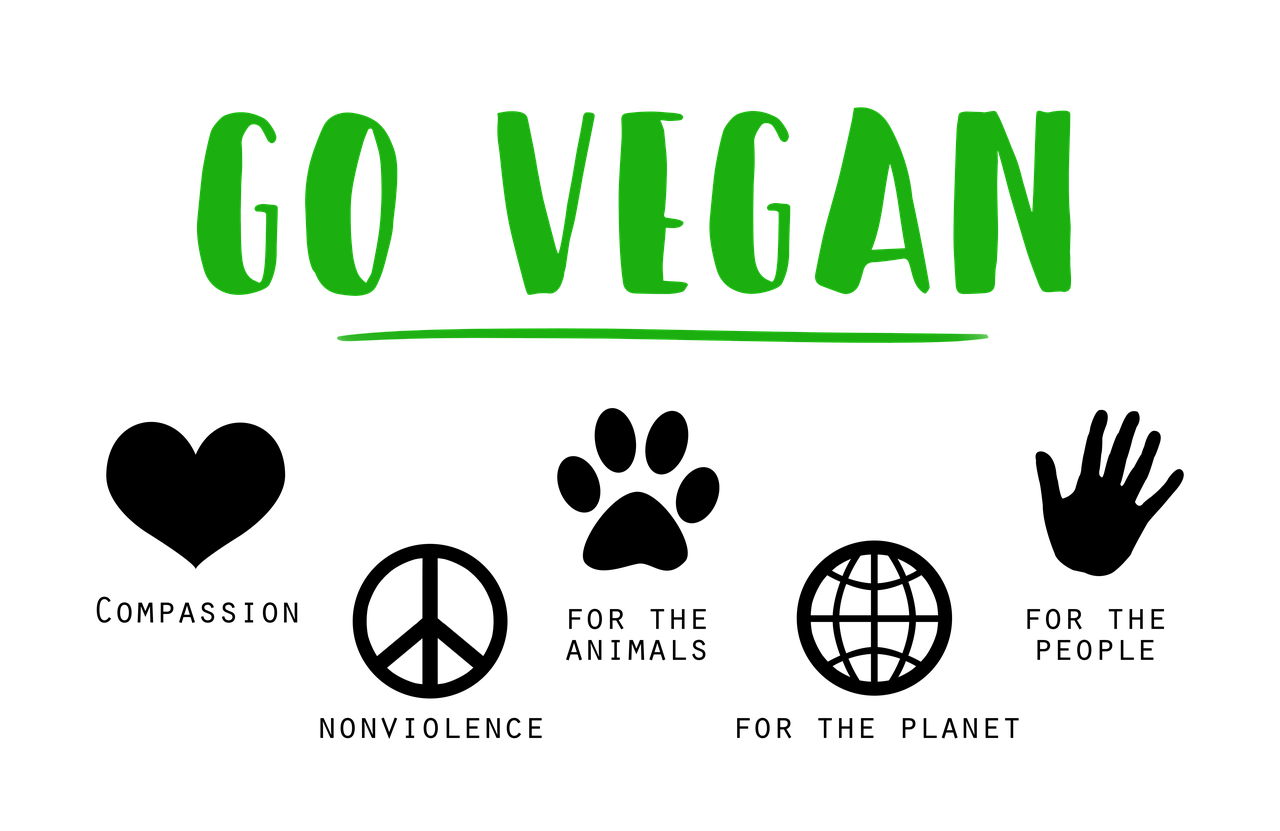 Vegane Genussreise in Brandenburg an der Havel: Entdecke umami-reiche Rezepte mit Jenny Barthel