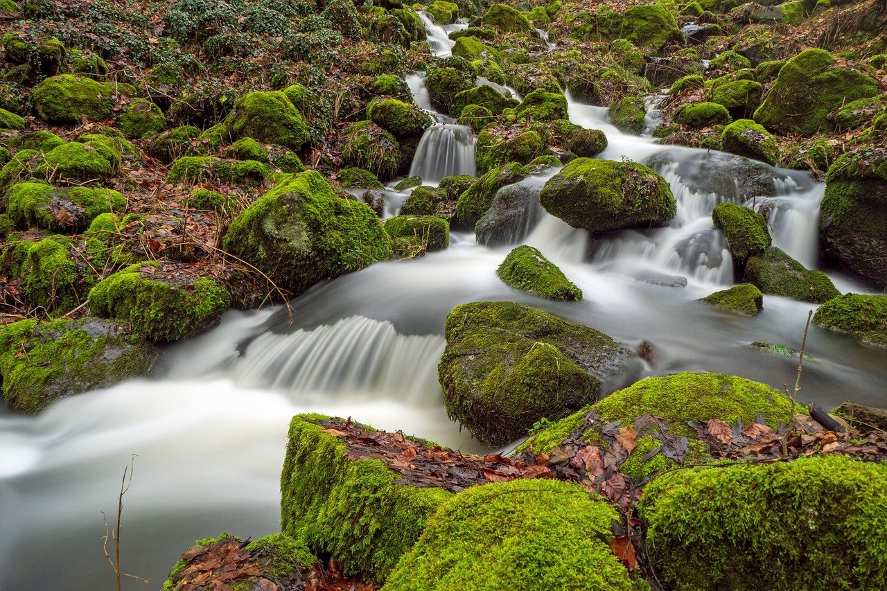 Die bedeutung von wasser für unsere gesundheit