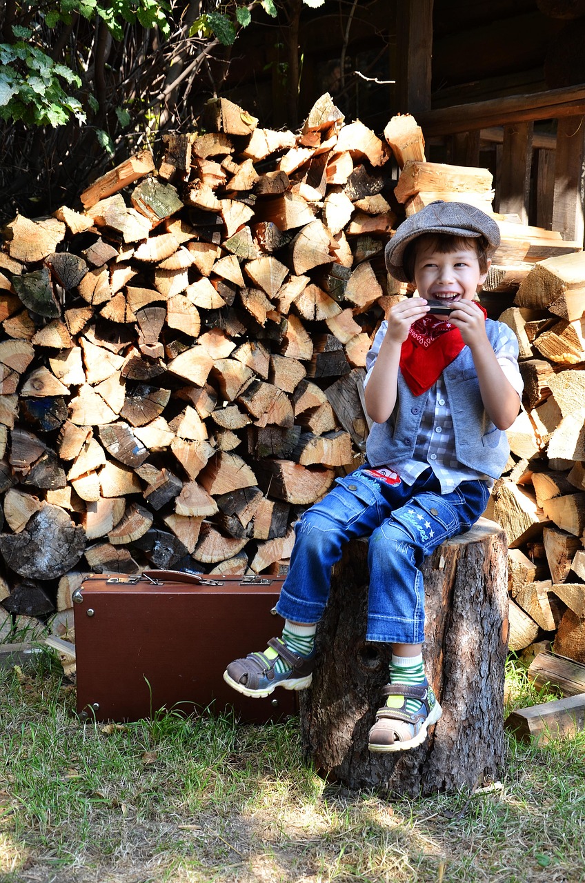 erfahren sie alles über harmonisierung: prozesse, vorteile und beispiele für die angleichung von richtlinien und standards in verschiedenen bereichen.