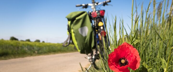 Deutschland-Blog: Connemann kritisiert den Begriff „Lifestyle-Teilzeit“ und äußert Bedauern Deutschland-Blog: Connemann kritisiert den Begriff „Lifestyle-Teilzeit“ und äußert Bedauern