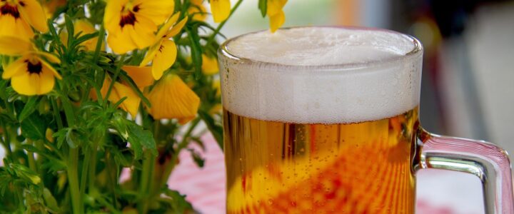 O’zapft is! Wiesn 2025 wird teuer: Besucher müssen tiefer in die Tasche greifen O’zapft is! Wiesn 2025 wird teuer: Besucher müssen tiefer in die Tasche greifen