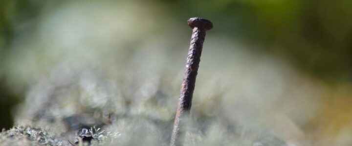 Über 100.000 Euro Jahresgehalt: Eine Enthüllung der Einkünfte führender Manager in Bildung, Wissenschaft und Forschung Über 100.000 Euro Jahresgehalt: Eine Enthüllung der Einkünfte führender Manager in Bildung, Wissenschaft und Forschung